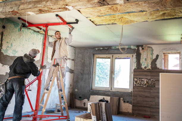 Best Insulation Removal  in Houston, PA