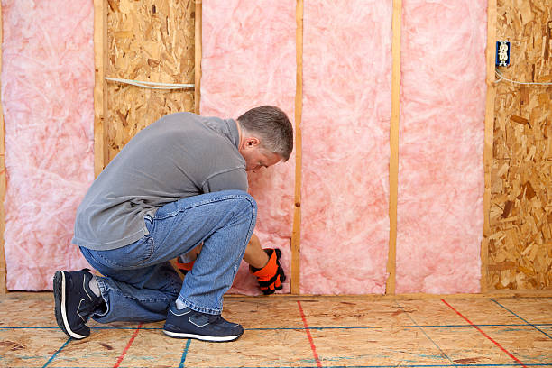 Best Insulation Replacement Services  in Houston, PA